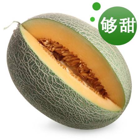 西域饋贈，甜蜜當(dāng)季——新疆哈密瓜與西州蜜瓜批發(fā)指南